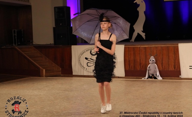 Mistrovství Strakonice